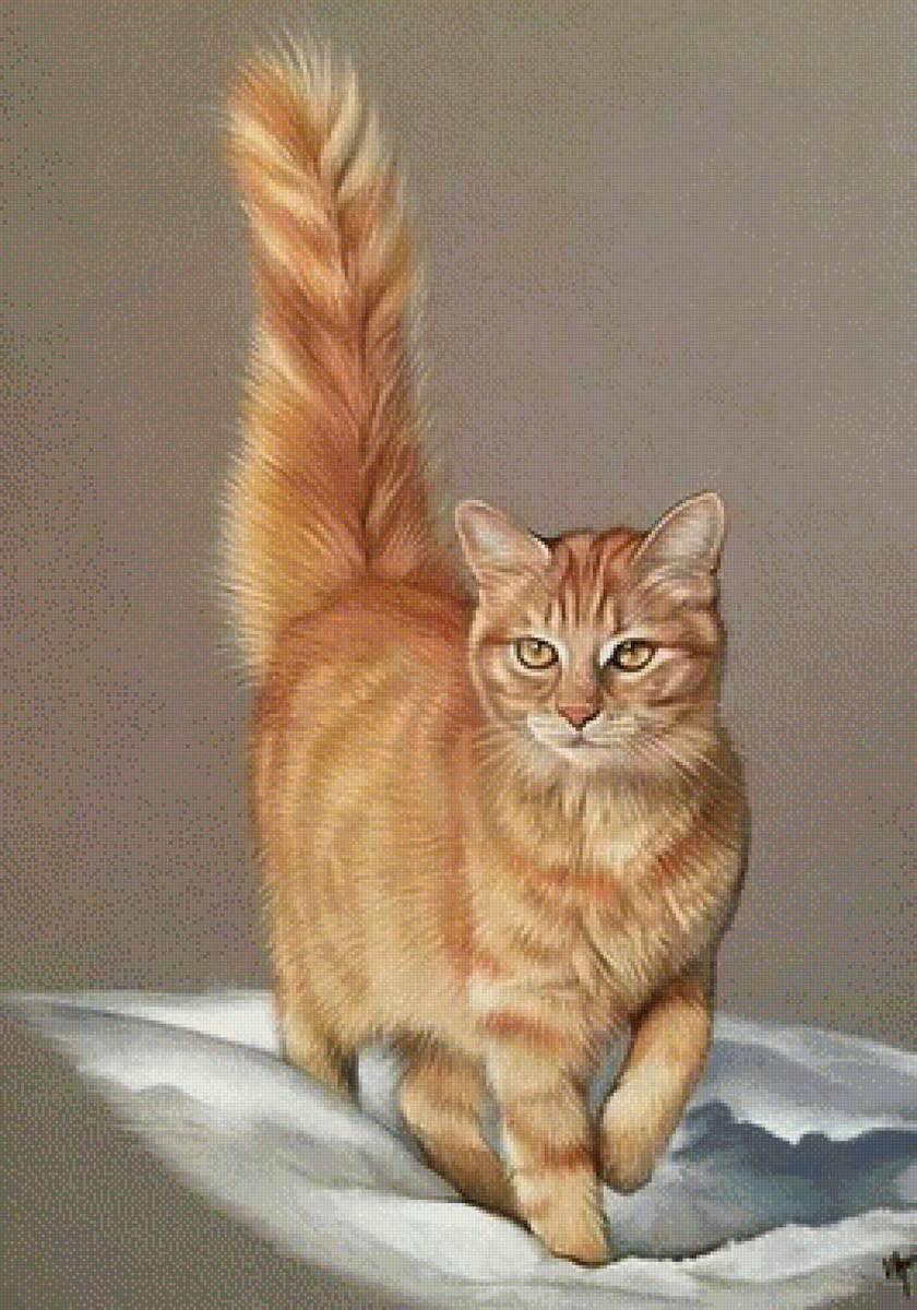 ,,Рыжий,, кот - , рыжий кот - предпросмотр