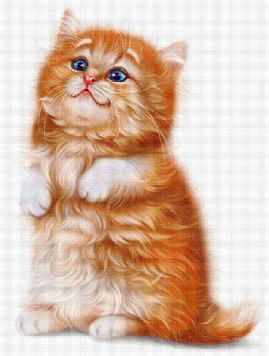 Котик - кот 🐱 - предпросмотр