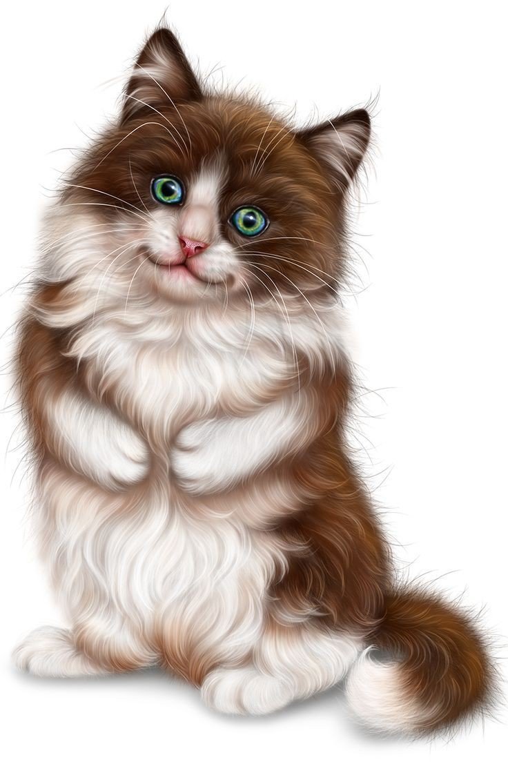 Кот - кот - оригинал