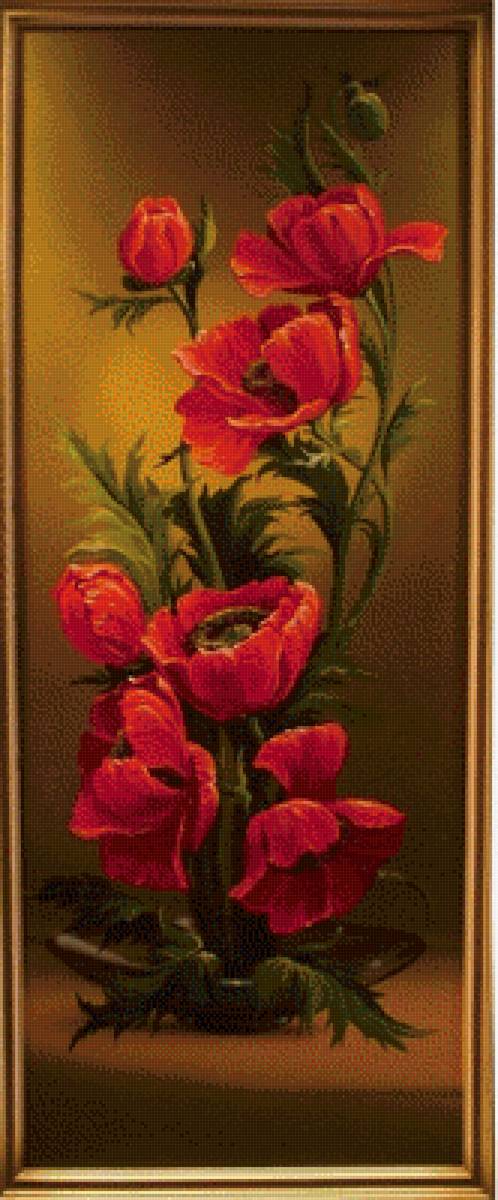 Маки - маки - предпросмотр