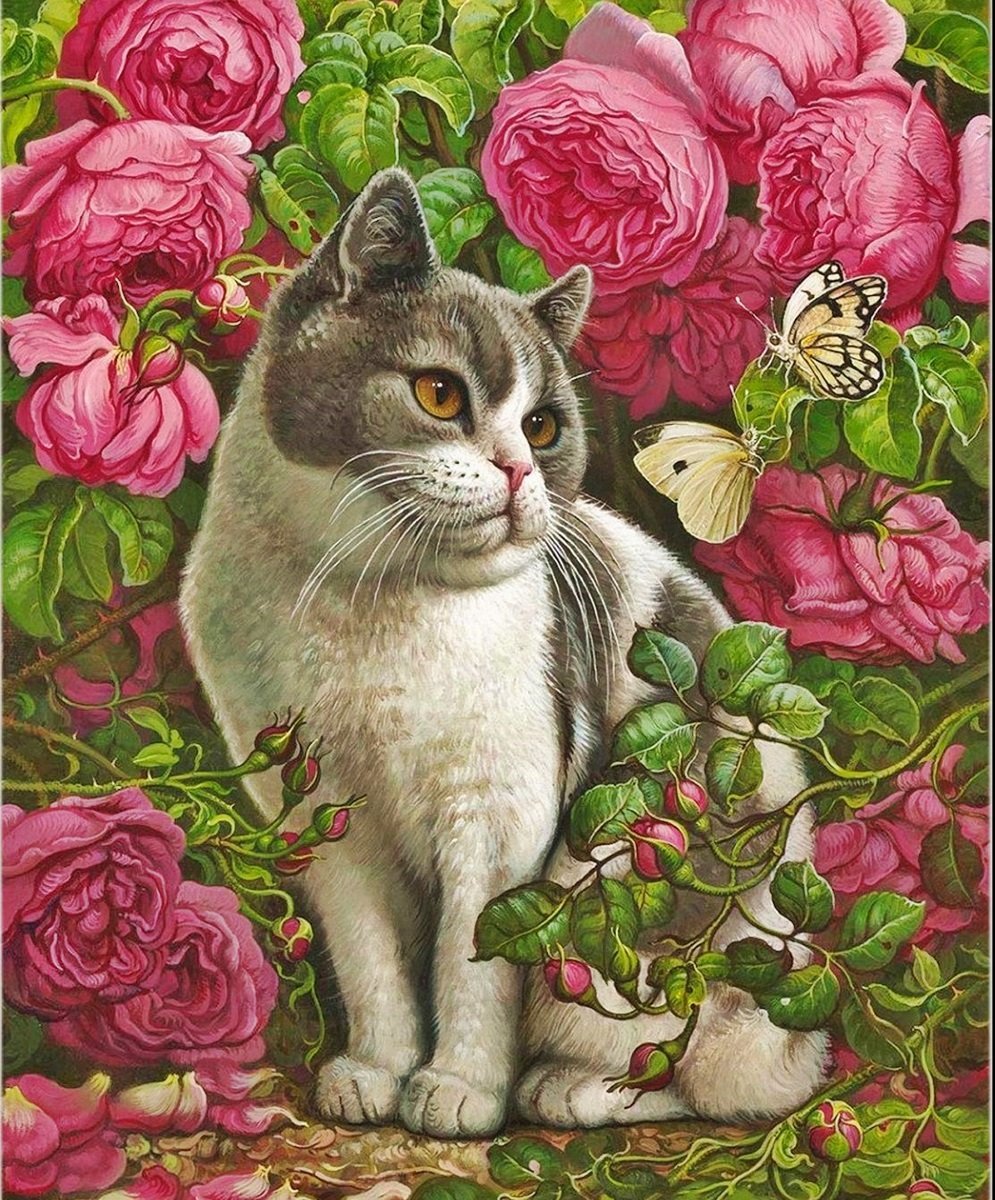 Котэ - оригинал