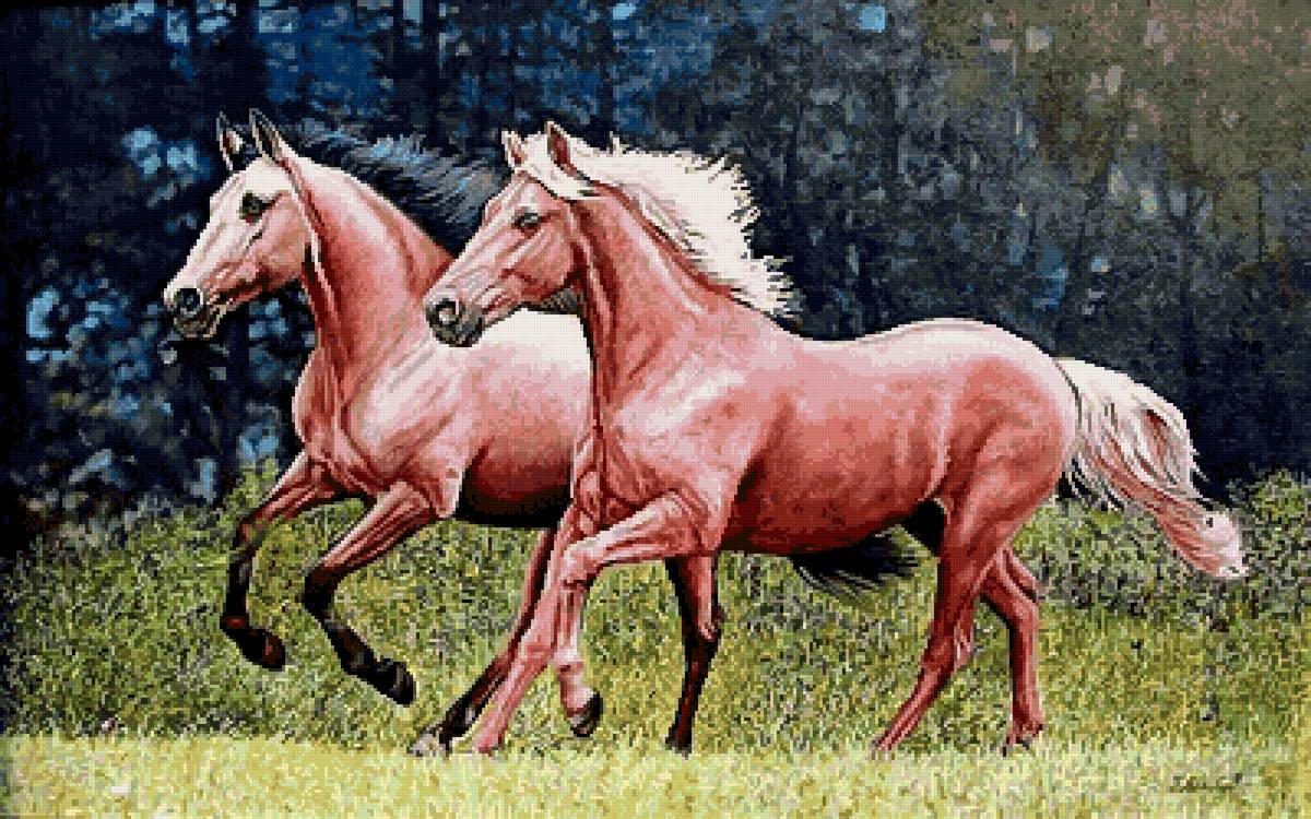 №2675514 - животные, кони - предпросмотр