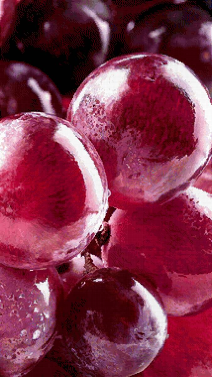 Виноград - предпросмотр