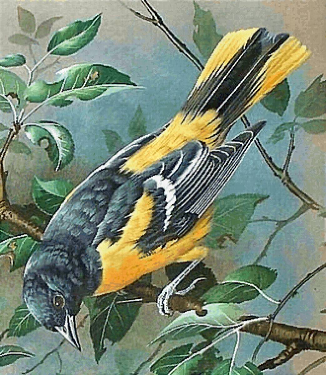 Птица на ветке - предпросмотр