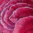 Предпросмотр схемы вышивки «Роза и стрекоза» (№2677162)