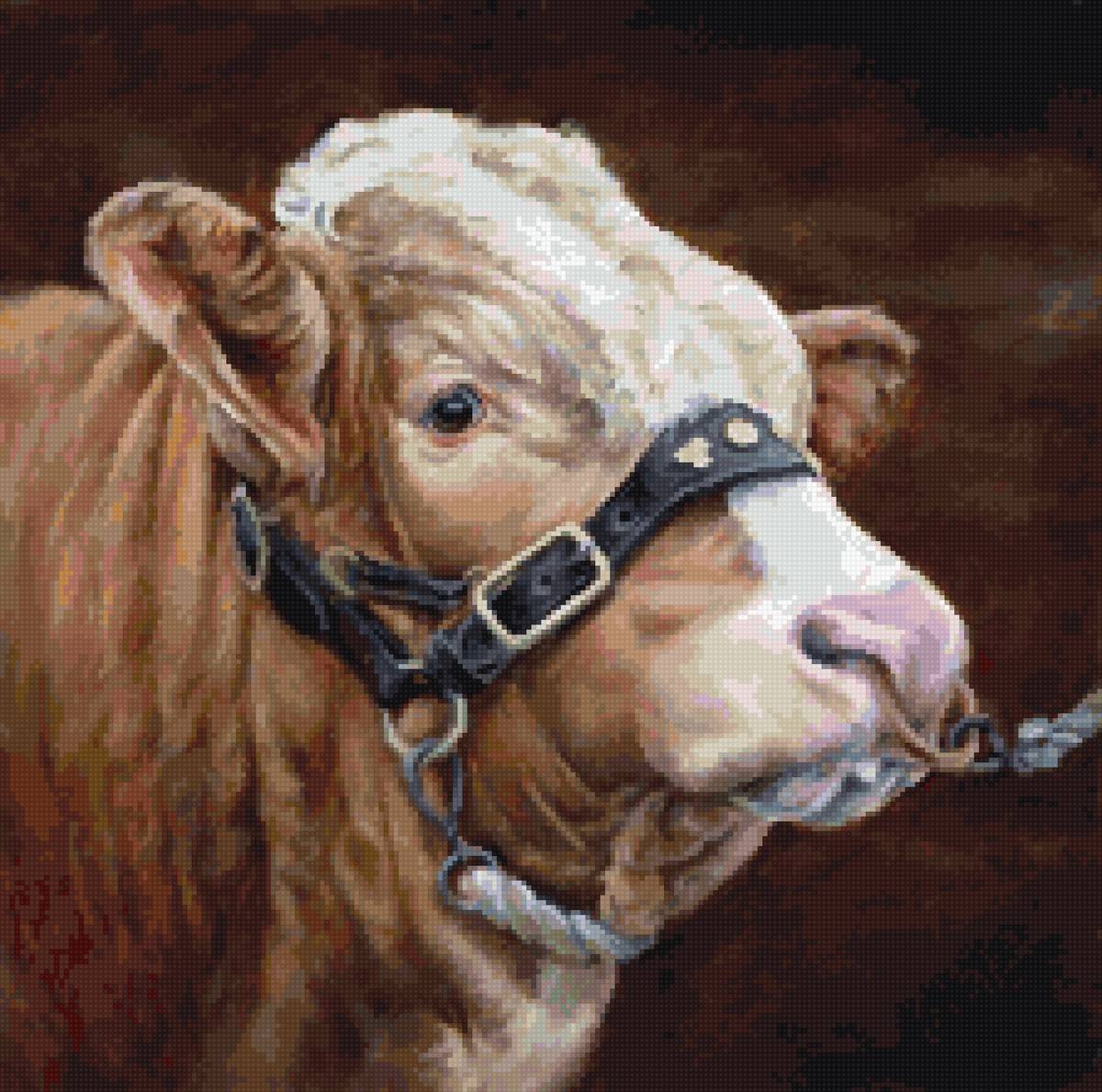 бык - предпросмотр