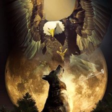 Схема вышивки «Орёл и Волк»