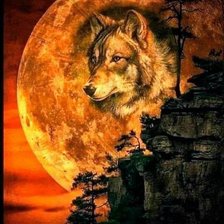 Схема вышивки «Волк»