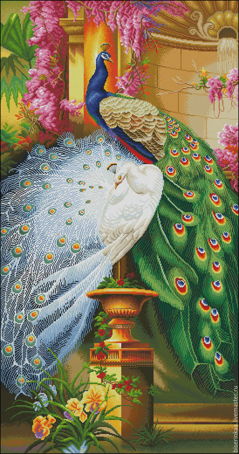 Павлины - павлины - оригинал