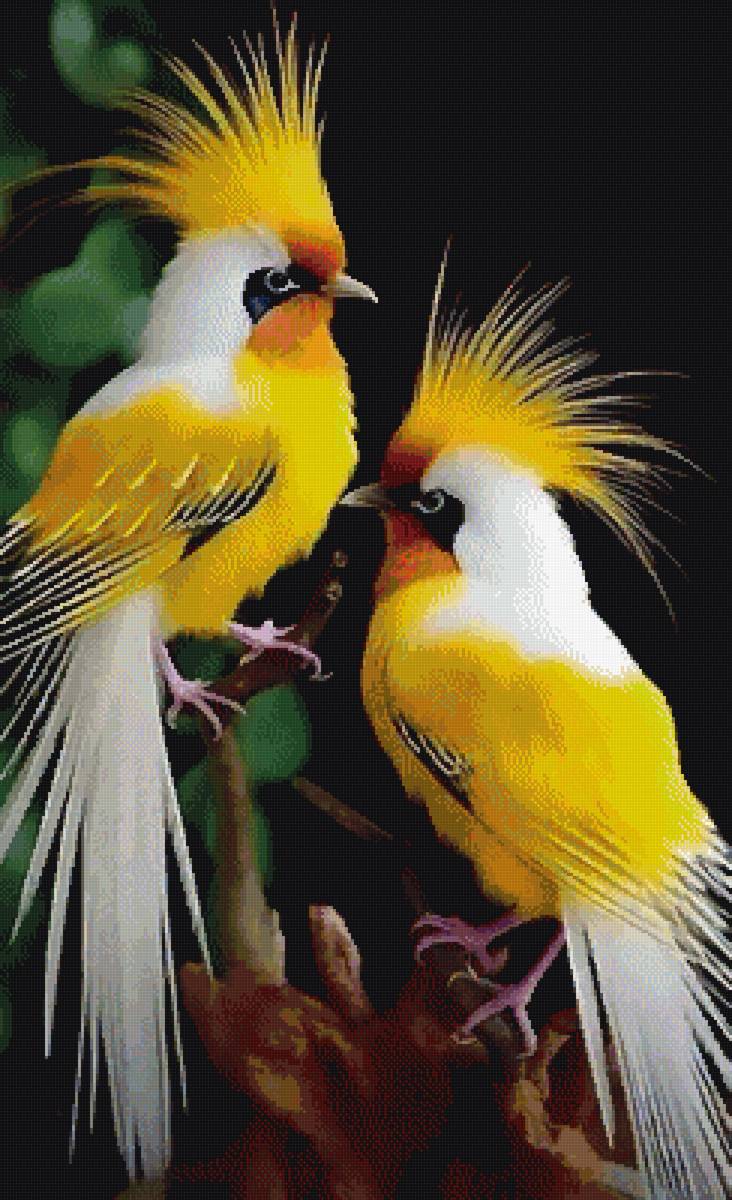 Птичка - предпросмотр