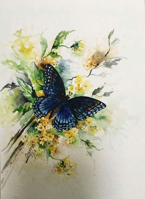 Бабочка - бабочка на цветах - оригинал