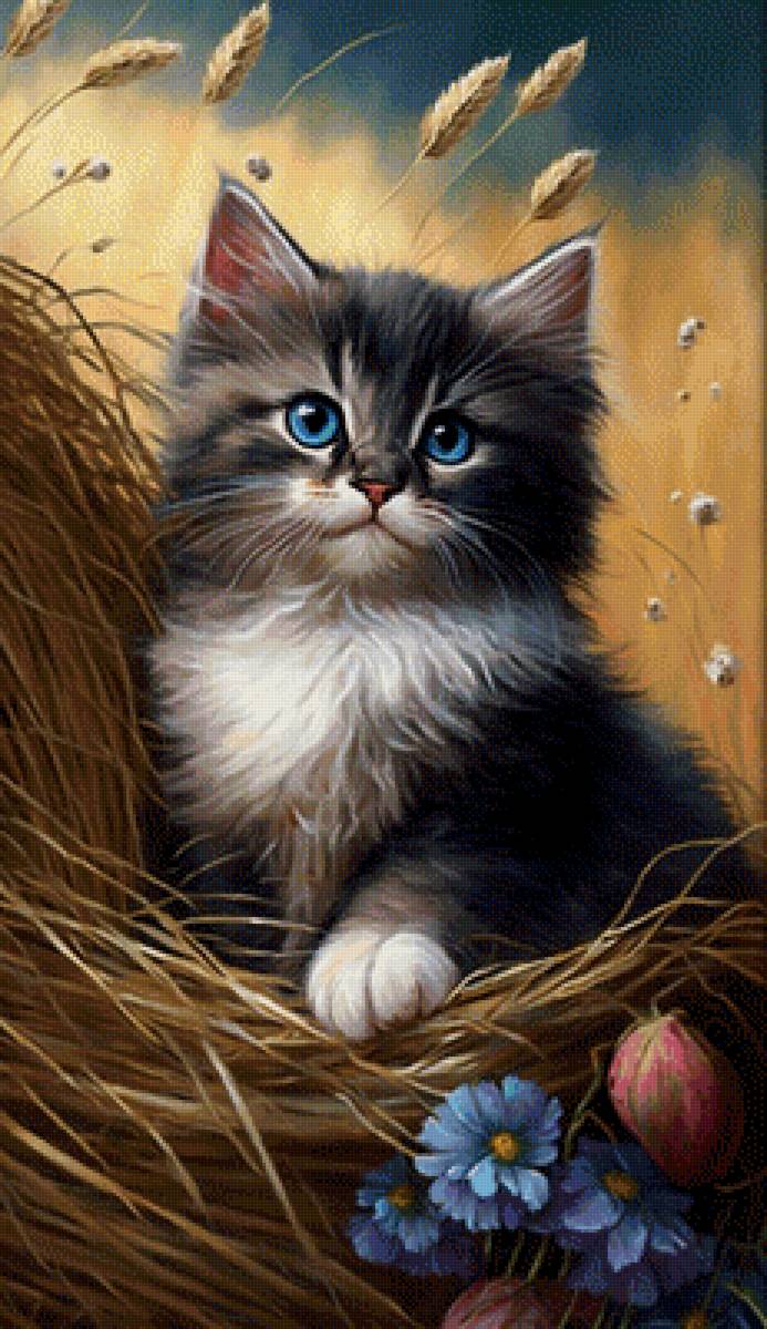 Котёнок - котенок - предпросмотр