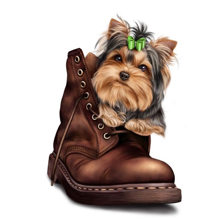 Щенок - щенок - оригинал