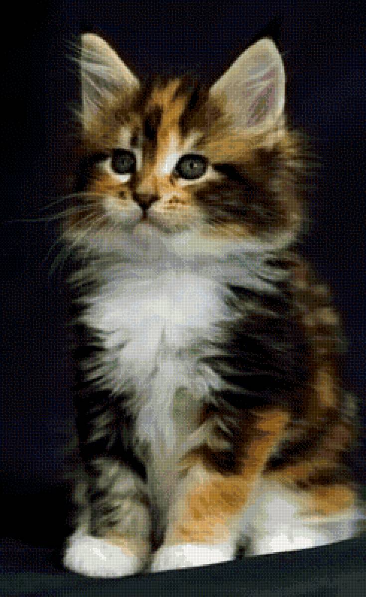 №2678172 - предпросмотр