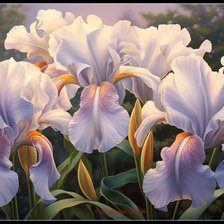 Схема вышивки «№2678244»