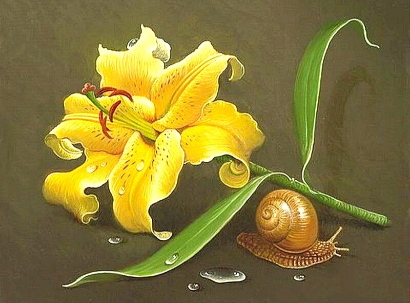 Лилия и улитка - оригинал