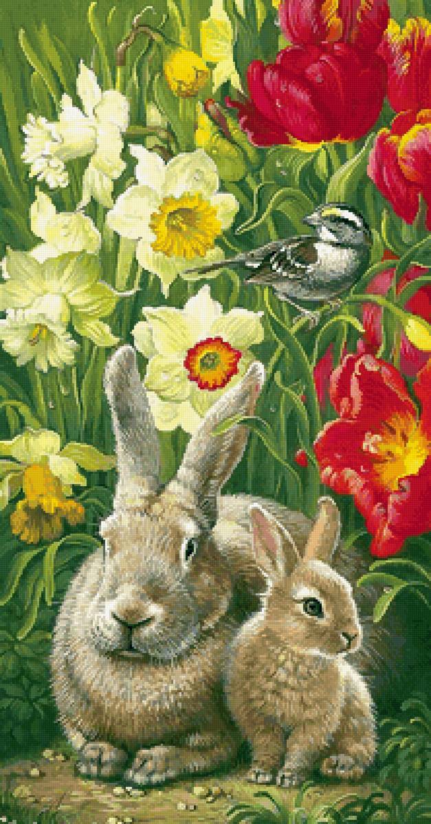 Ушастая семейка - предпросмотр