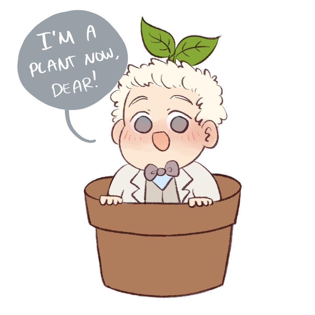 ajiplant - азирафаэль - оригинал