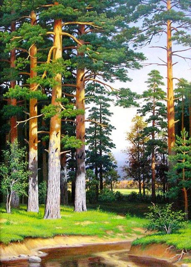 №2678655 - сосны - оригинал