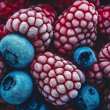 Схема вышивки «Морозные ягоды»