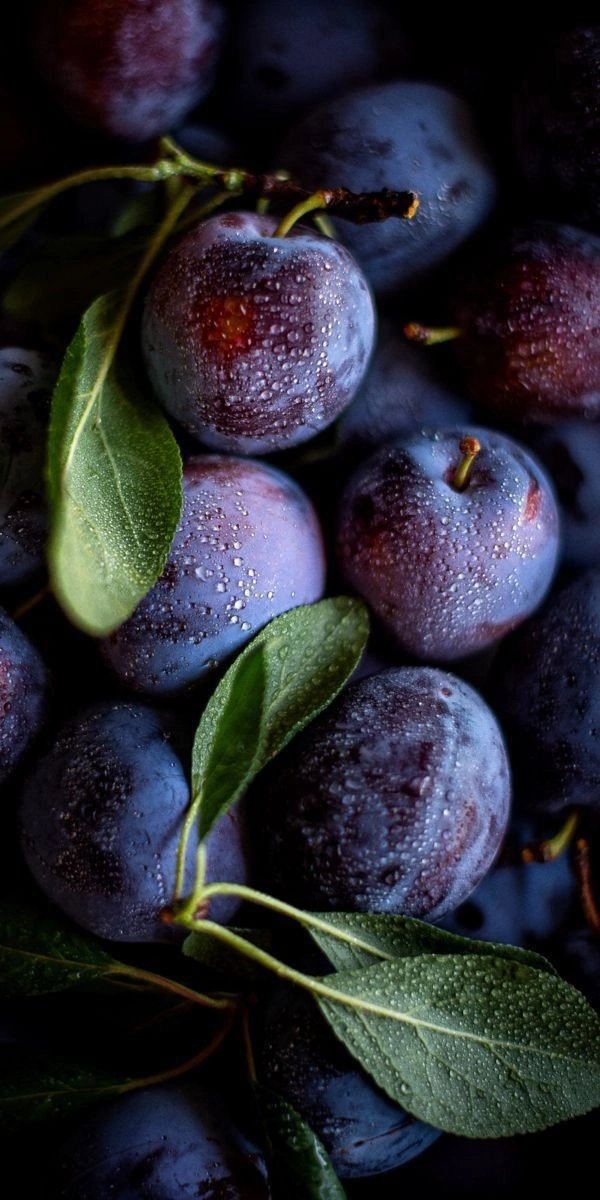 Сливы - фрукты, сливы - оригинал