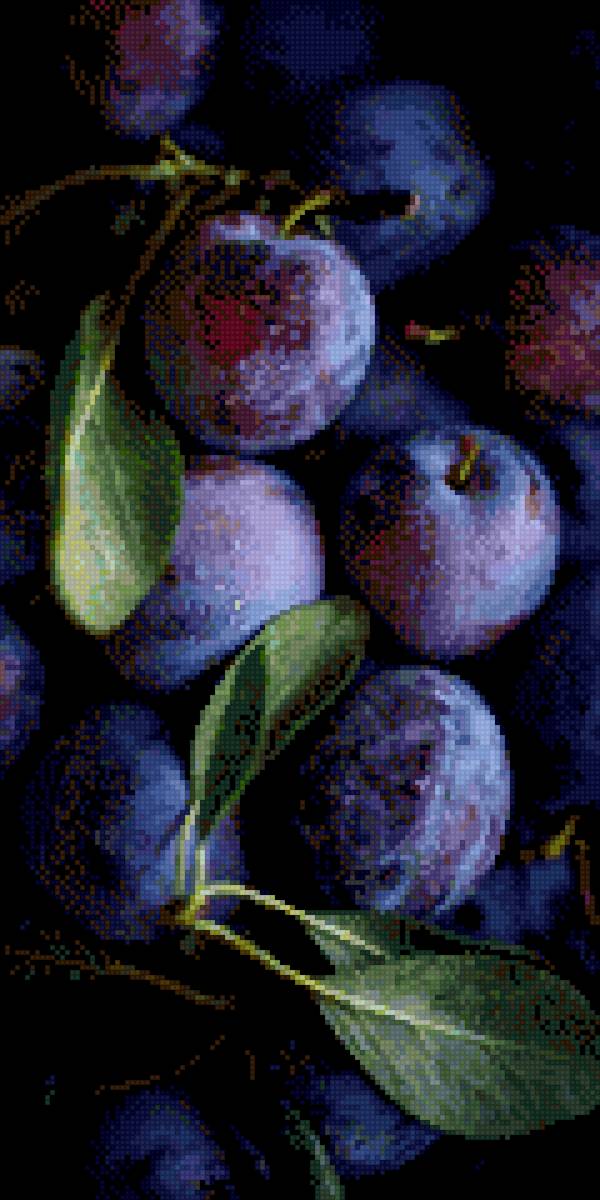 Сливы - фрукты, сливы - предпросмотр