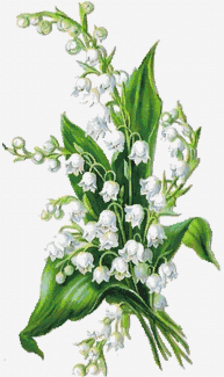 ландыши - предпросмотр