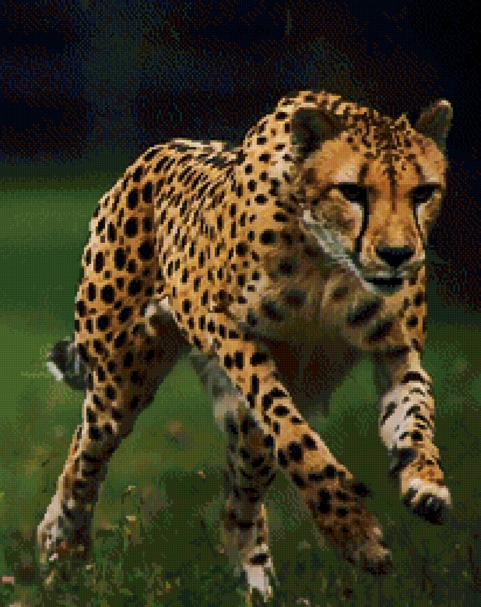 №2679474 - предпросмотр