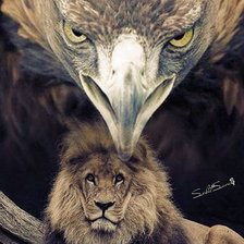 Схема вышивки «Орёл и Лев»