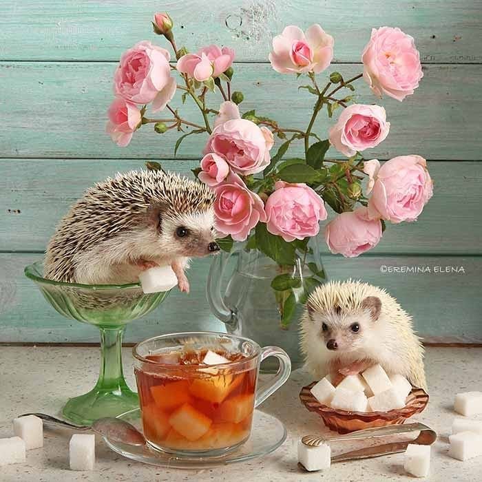 8930926 - оригинал