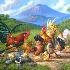 куриное семейство