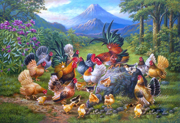 куриное семейство 2 - оригинал