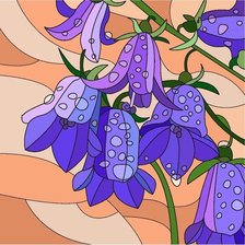 колокольчики