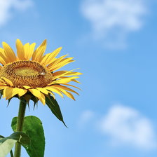 Схема вышивки «№2680632»