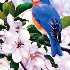 Схема вышивки «№2680798»