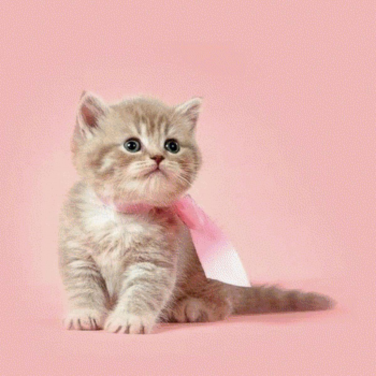 Киска - киска - предпросмотр