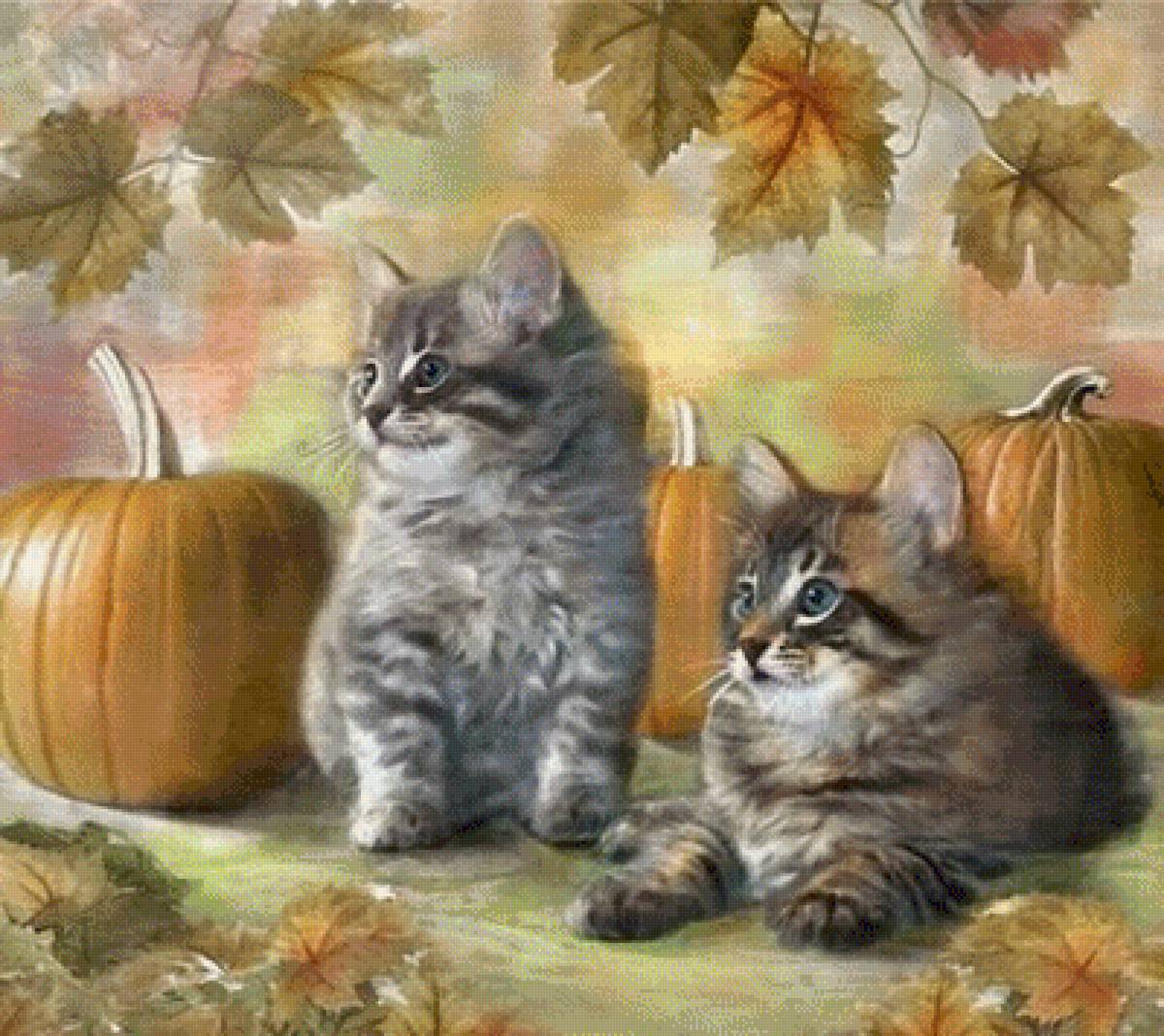 Котята - котята - предпросмотр