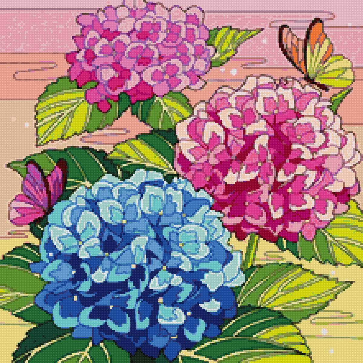 гортензии - предпросмотр