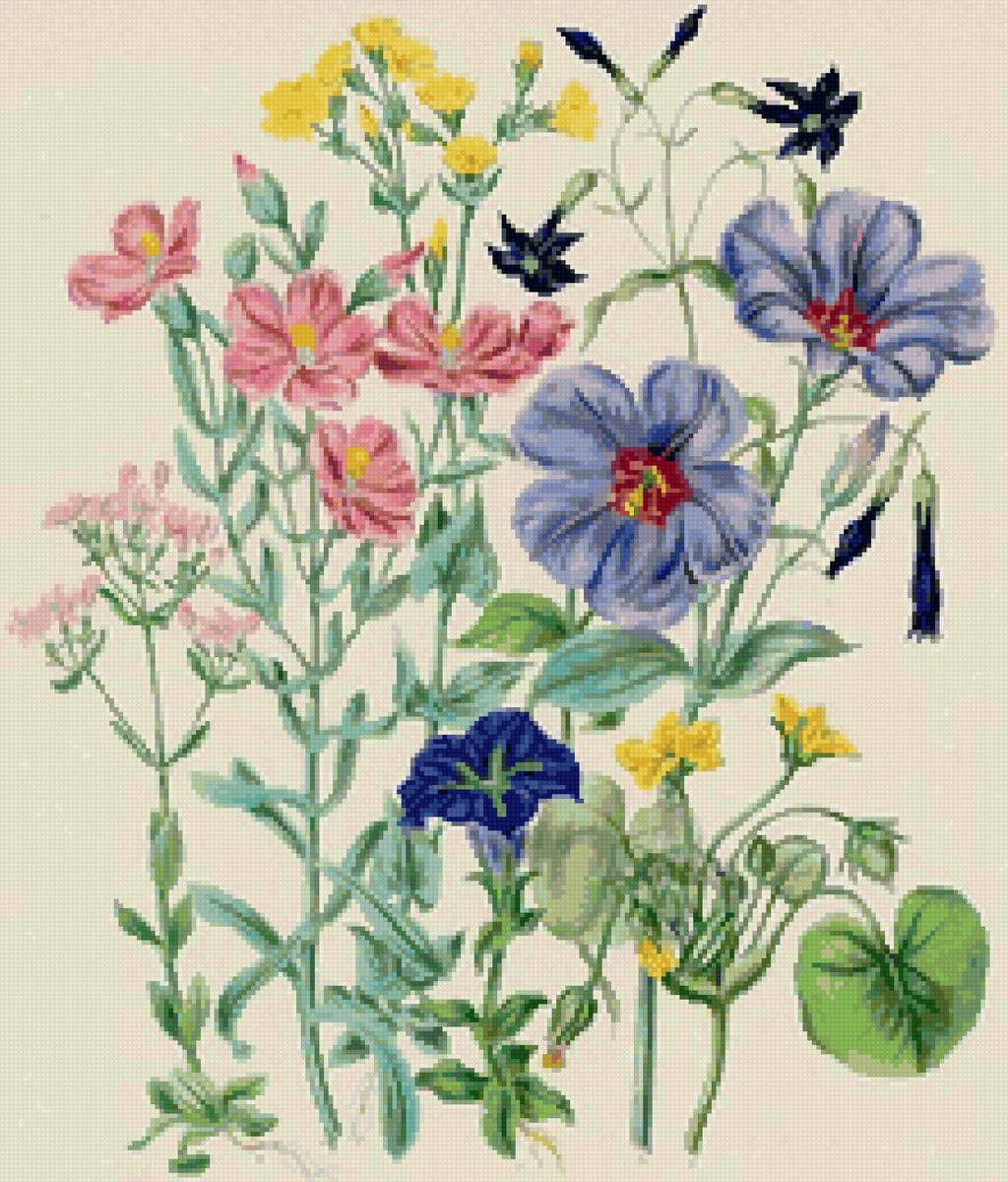 цветы - предпросмотр