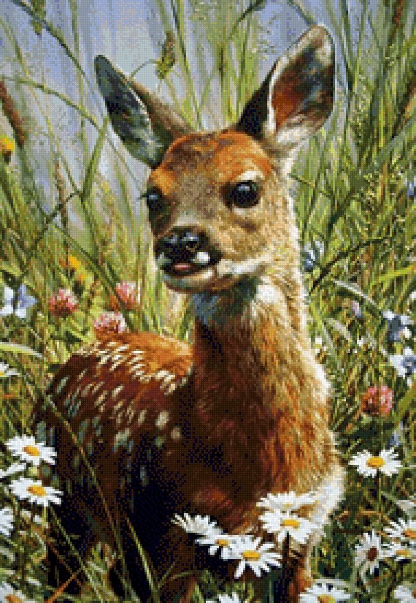 Красавчик - предпросмотр