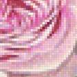 Предпросмотр схемы вышивки «Розовые розы» (№2681874)
