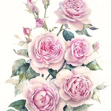 Оригинал схемы вышивки «Розовые розы» (№2681874)