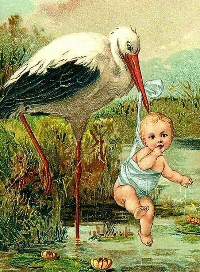 Аист - аист, ребенок - оригинал