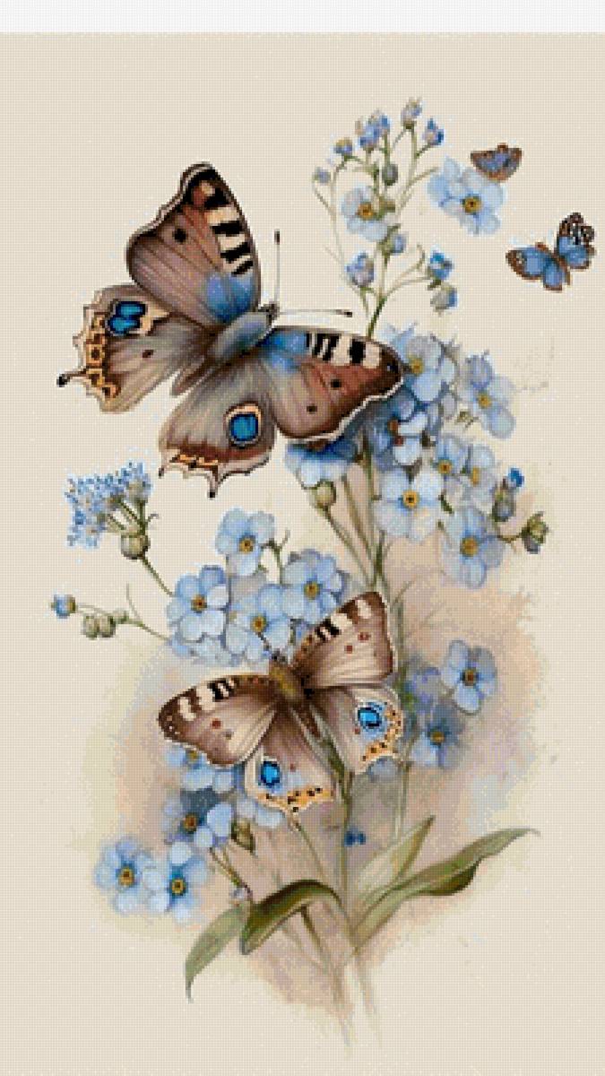Цвето,бабочки - цветок и бабочки - предпросмотр