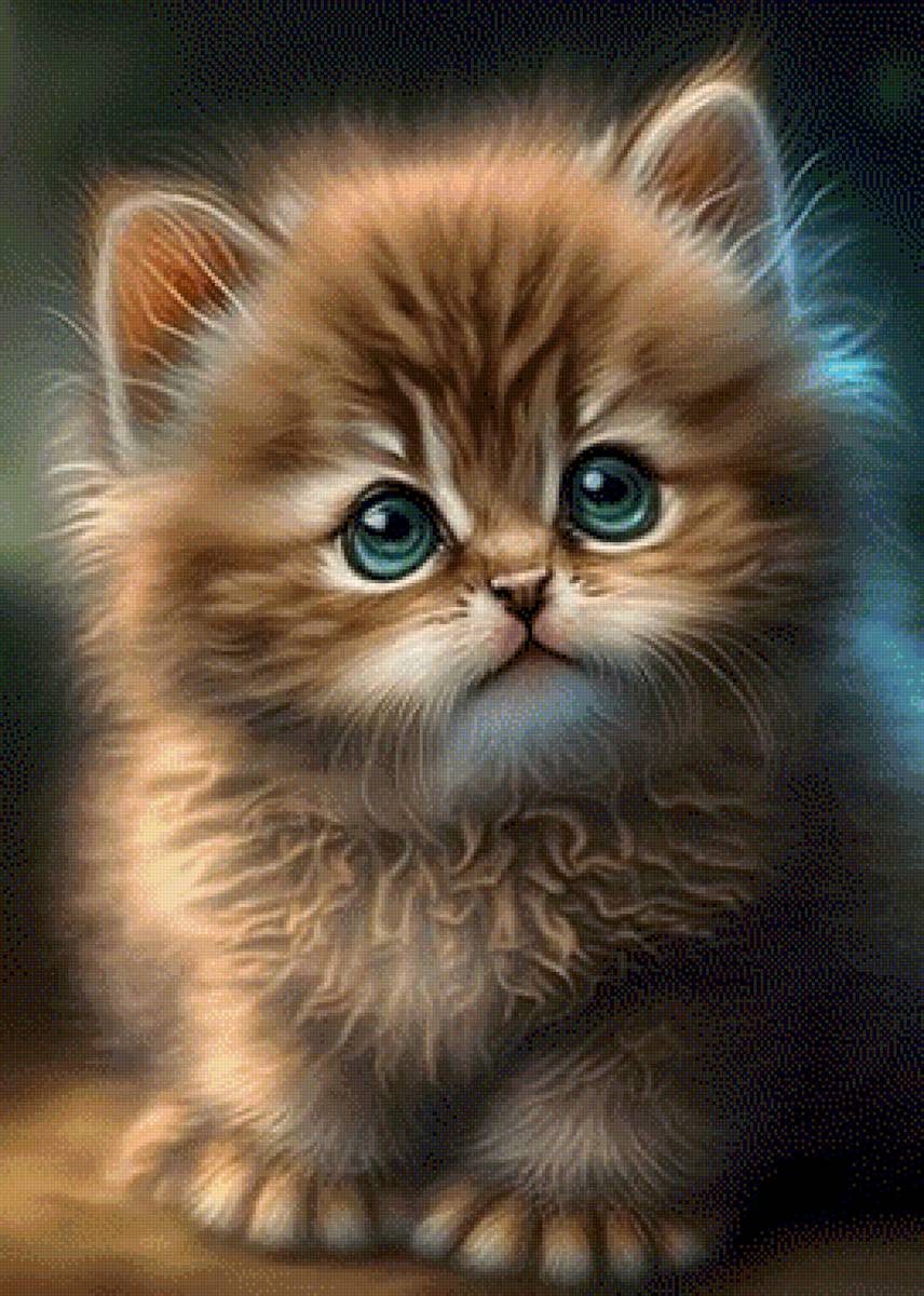 Красавчик - котенок - предпросмотр