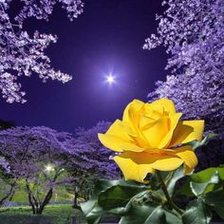 Схема вышивки «№2682161»