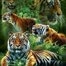 Схема вышивки «коллаж тигры»