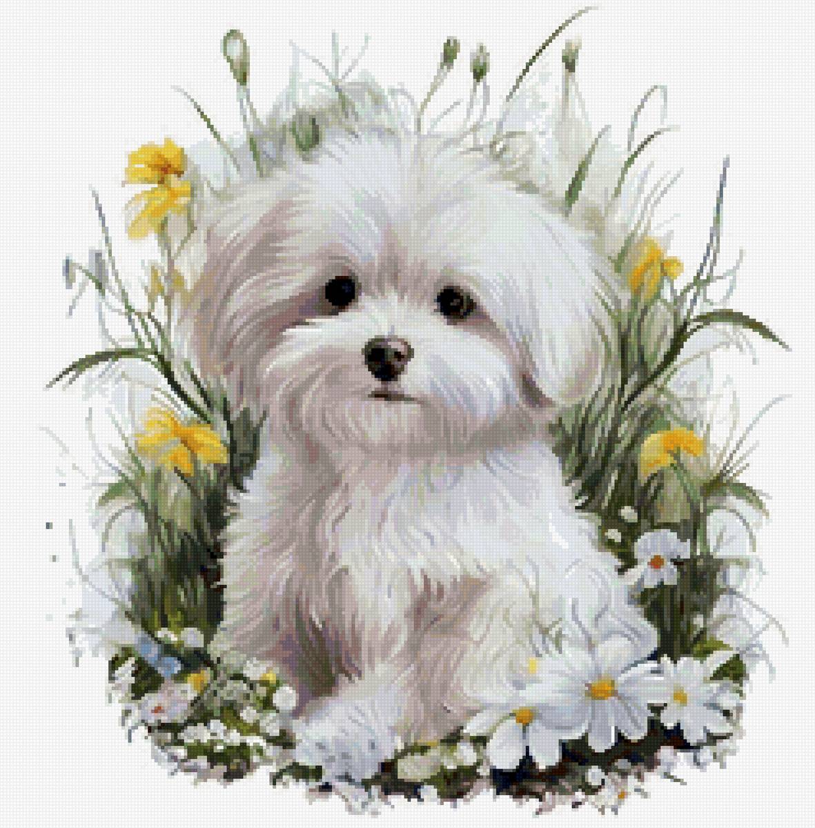 белый щенок - предпросмотр