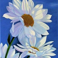 Схема вышивки «ромашки»