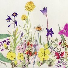 Схема вышивки «подушка»